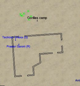 gorilla-camp